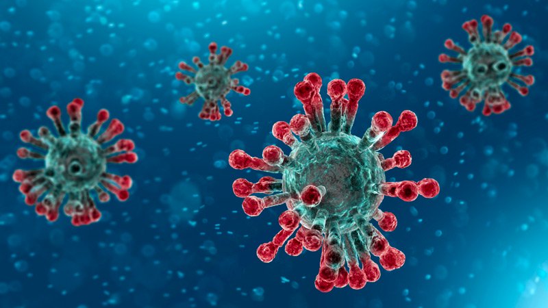 Risultato immagini per coronavirus