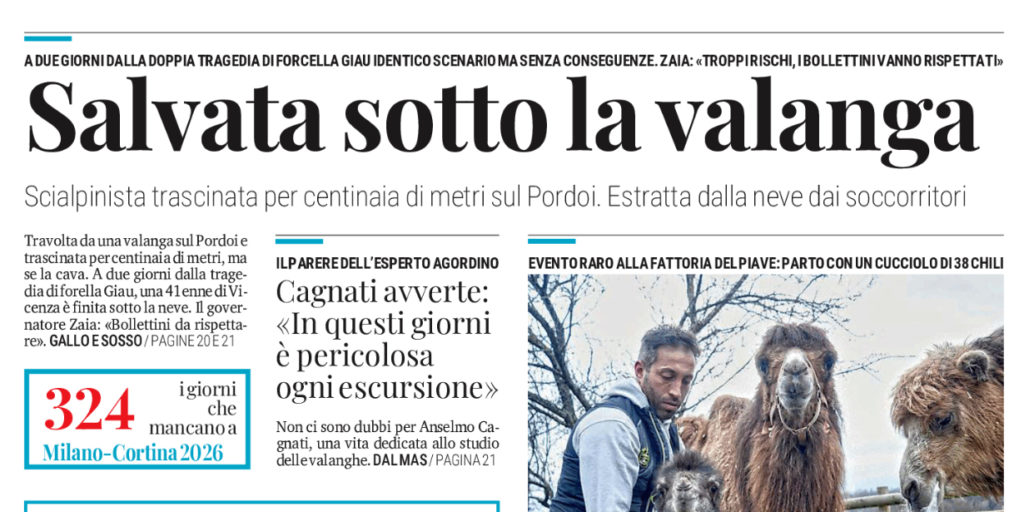 article thumbnail
