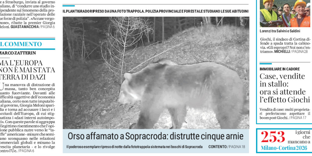 article thumbnail